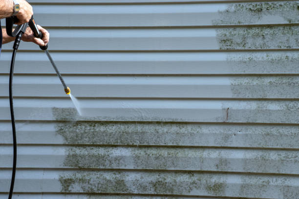 Best Siding Removal and Disposal  in Havana, FL